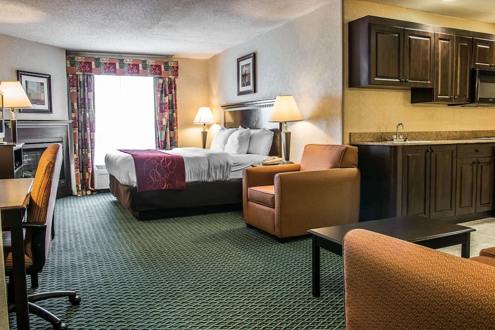 Comfort Suites Canton - Detroit gallery photo in Canton — image 20