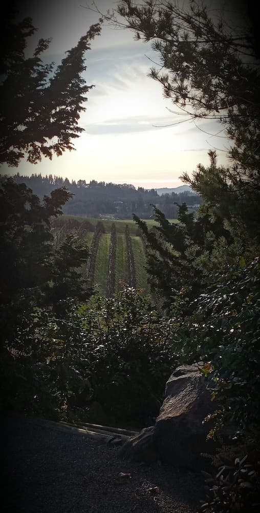 The Boutique Retreat gallery photo in McMinnville, OR — image 59