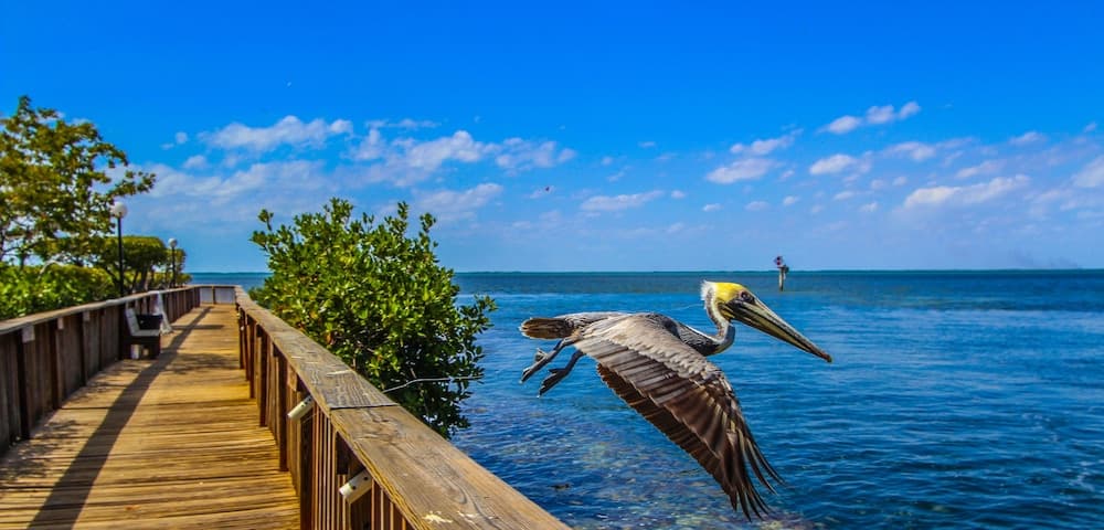 Florida Bay Club property views in Key Largo, FL — gallery photo 3