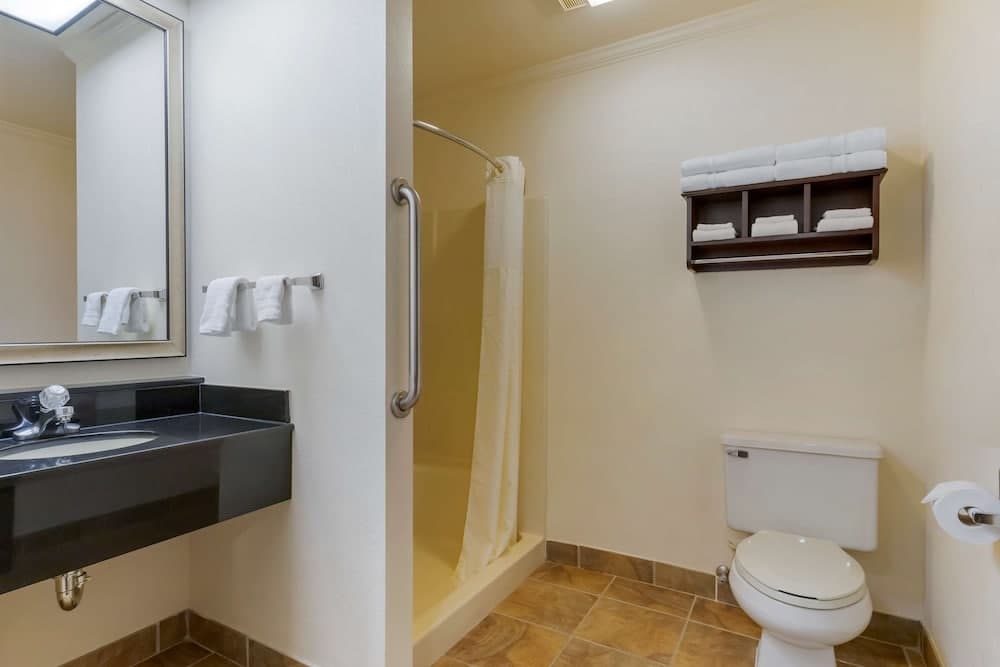 Best Western Davison Inn gallery photo in Davison, MI — image 30