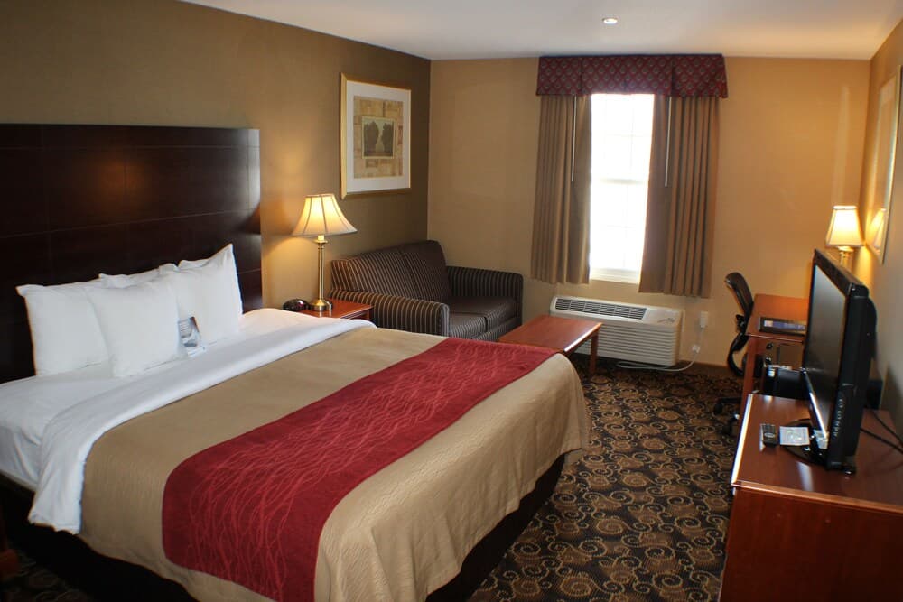 Comfort Inn Rockland - Boston gallery photo in Rockland — image 20