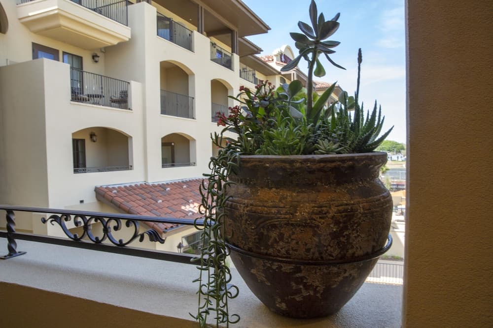 The Murieta Inn & Spa gallery photo in Sloughhouse, CA — image 20