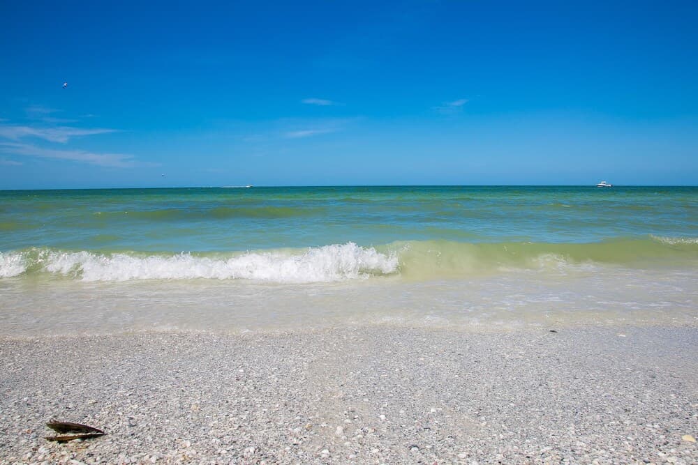 San Marco Residence 202 property views in Marco Island, FL — gallery photo 3
