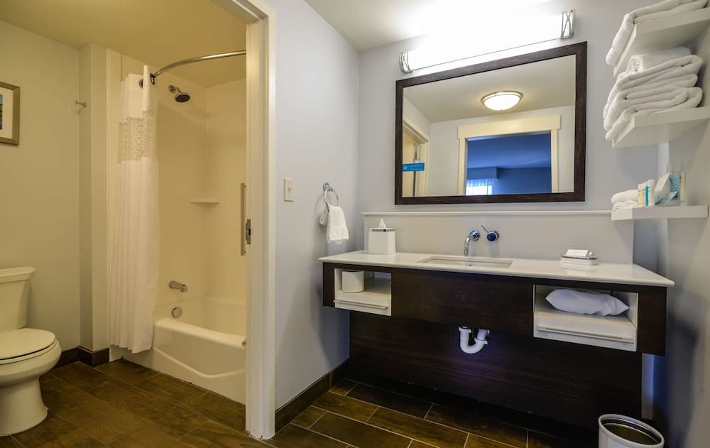 Hampton Inn Brighton gallery photo in Brighton, MI — image 74