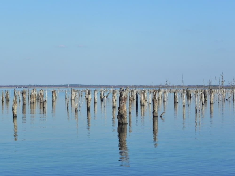 Pope's Landing Marina gallery photo in Alba, TX — image 17