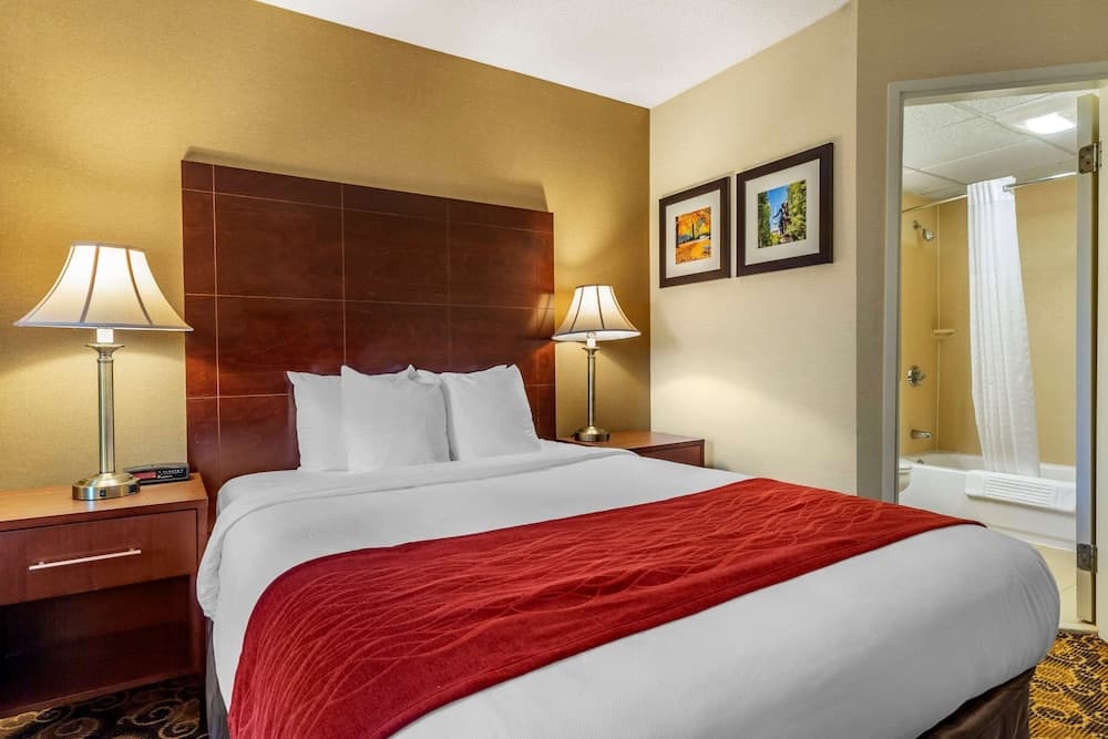 Comfort Inn Rockland - Boston gallery photo in Rockland — image 35