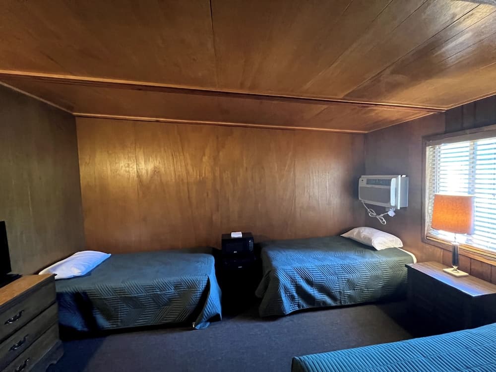 Lost Pines Lodge property views in Harrietta, MI — gallery photo 3
