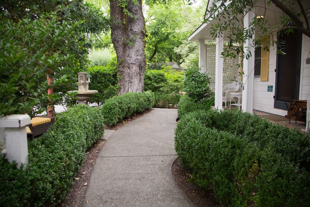 Cottage Grove Inn gallery photo in Calistoga, CA — image 29