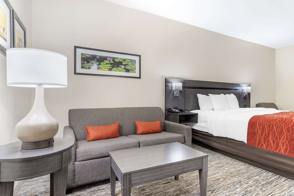 Comfort Inn Orange I-10 gallery photo in Orange, TX — image 16