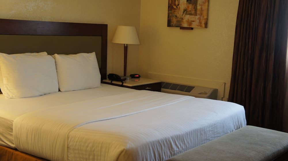 Lexington Inn & Suites NW Chicago Elgin gallery photo in Elgin, IL — image 7