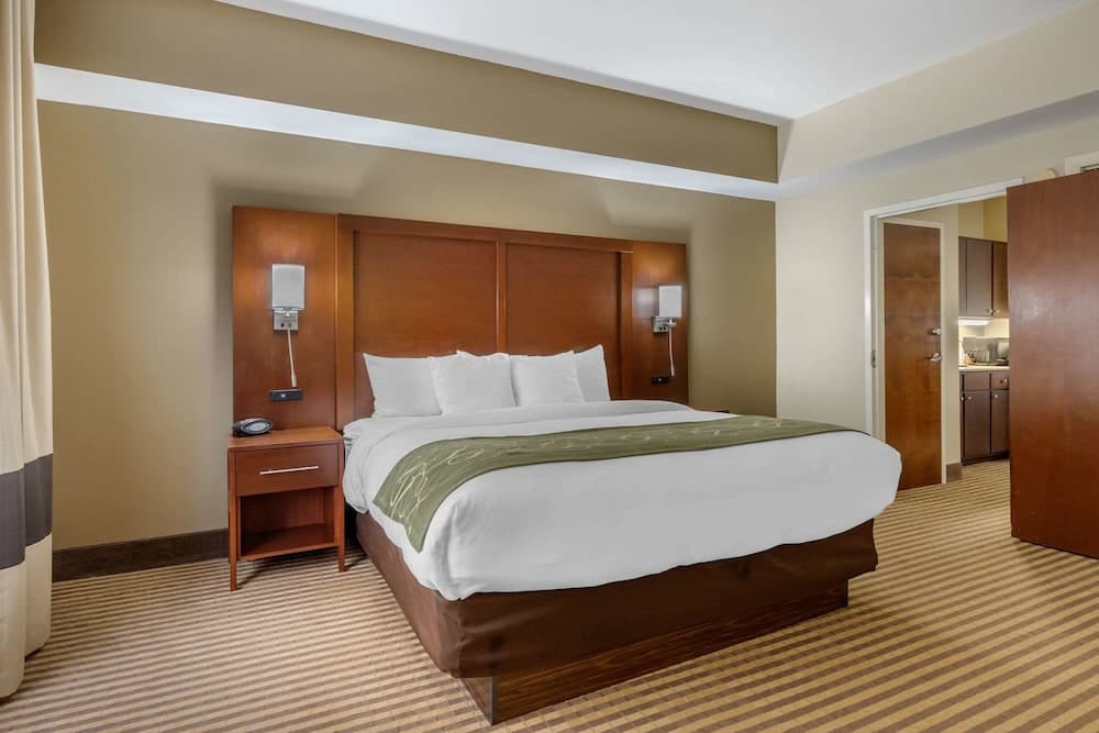 Comfort Suites Johnson City near University gallery photo in Johnson City, TN — image 16