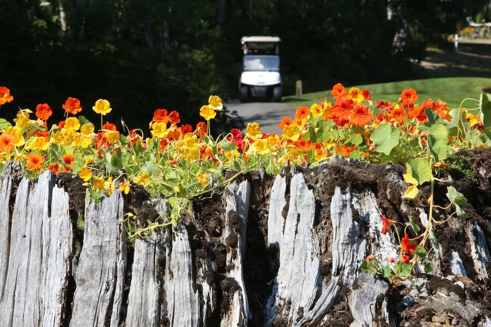 The Resort at Port Ludlow gallery photo in Port Ludlow, WA — image 61