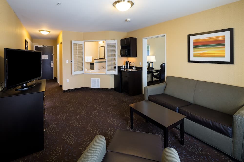 Holiday Inn Express & Suites Detroit North - Troy by IHG property views in Troy, MI — gallery photo 3