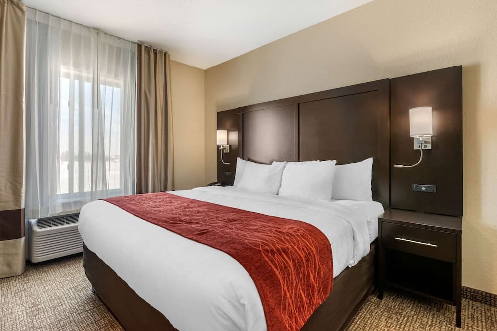Comfort Inn & Suites Cedar Rapids CID Eastern Iowa Airport gallery photo in Cedar Rapids, IA — image 40