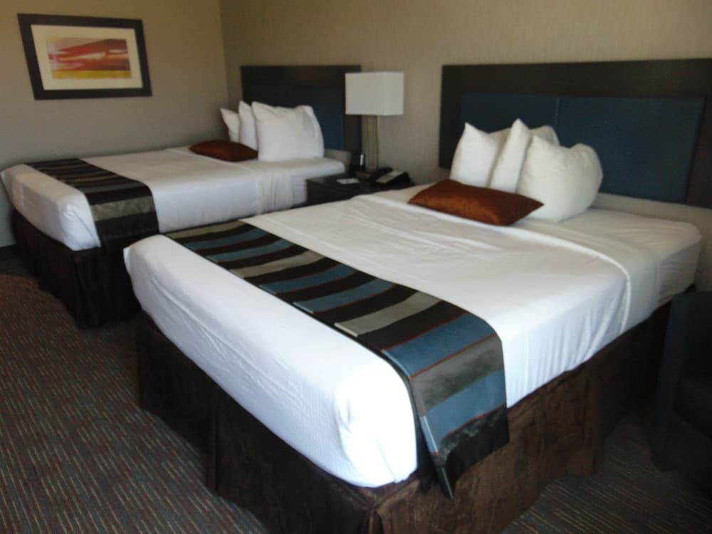 Wingate by Wyndham Lubbock gallery photo in Lubbock, TX — image 41
