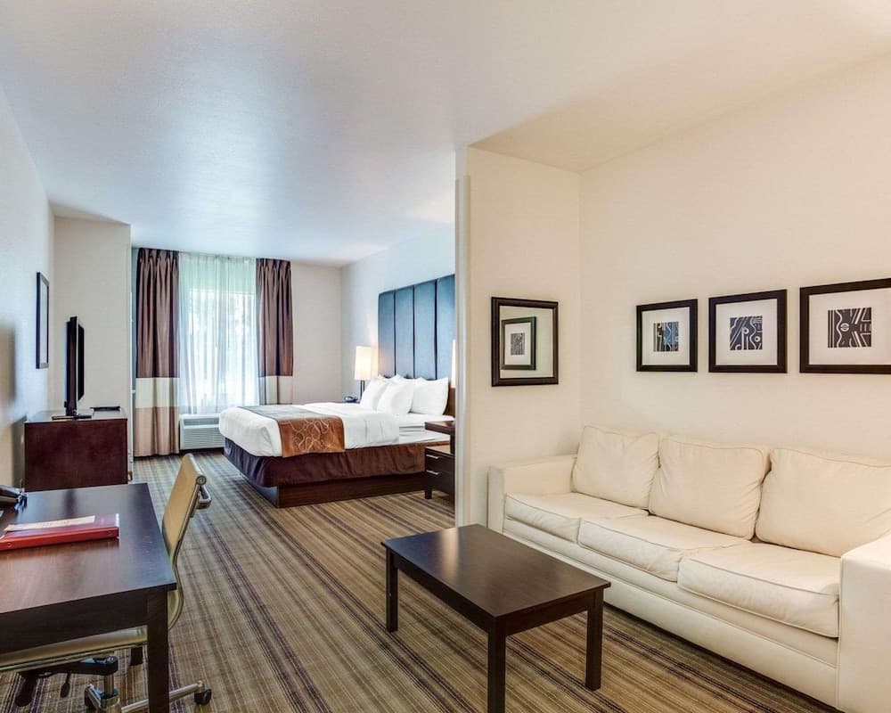 Comfort Suites Mandeville - Covington gallery photo in Mandeville, LA — image 17