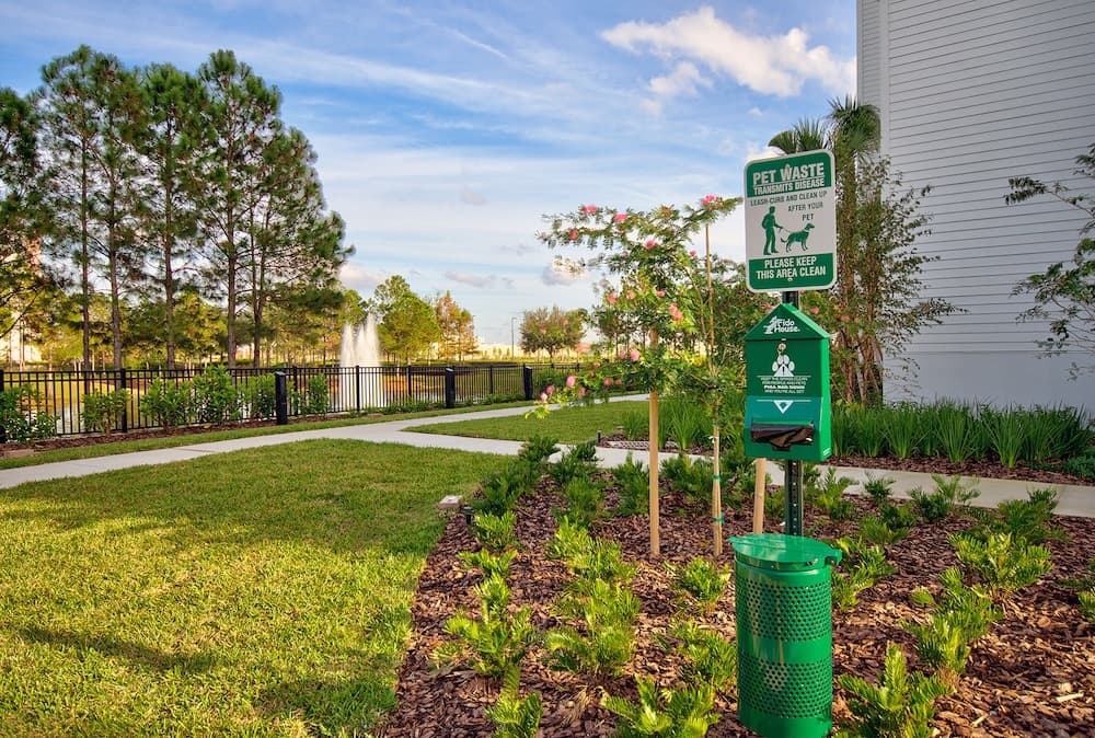 Residence Inn by Marriott Orlando Flamingo Crossing/Western Entrance gallery photo in Winter Garden, FL — image 11