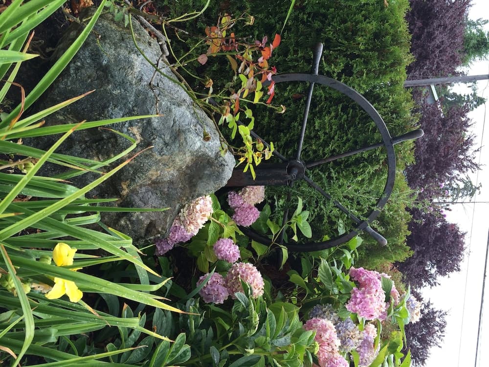 Camano Island Inn gallery photo in Camano Island, WA — image 38