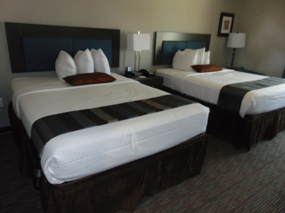 Wingate by Wyndham Lubbock gallery photo in Lubbock, TX — image 24