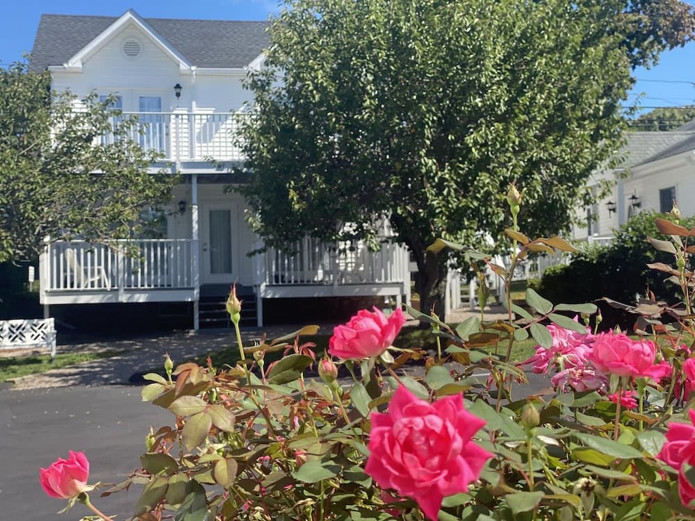 The Taber Inne & Suites gallery photo in Mystic, CT — image 33