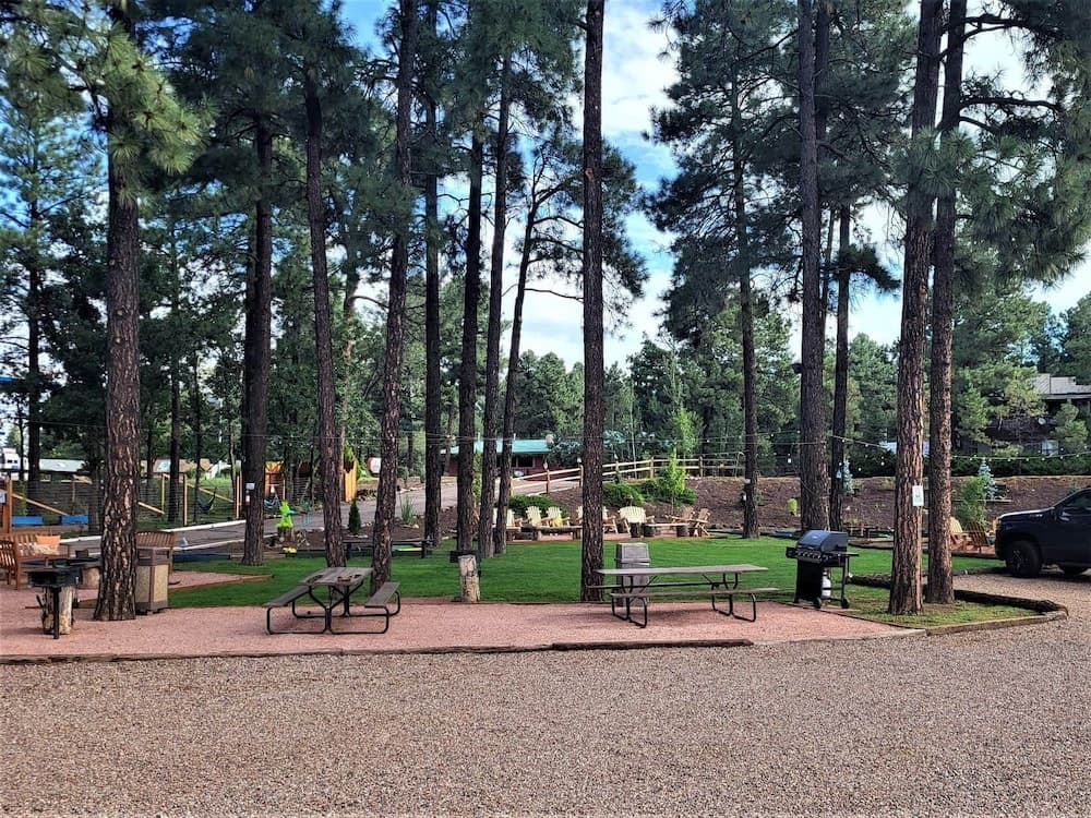The Nook Pinetop interior in Pinetop, AZ — gallery photo 2
