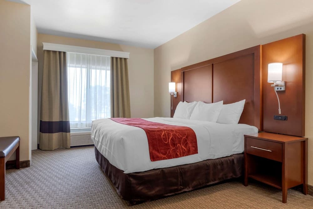 Comfort Suites Copperas Cove gallery photo in Copperas Cove, TX — image 31