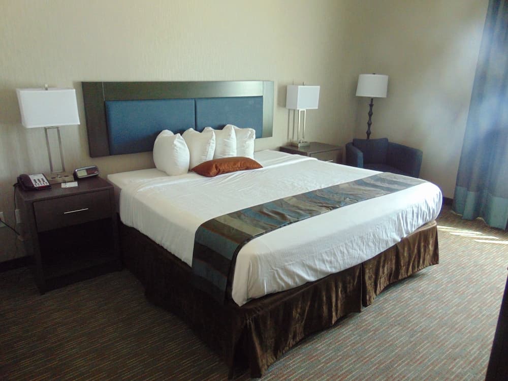 Wingate by Wyndham Lubbock gallery photo in Lubbock, TX — image 23