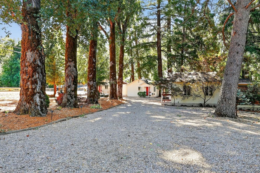 Rouge Cobb Mountain Hotel - Cabin 3 property views in Cobb, CA — gallery photo 3
