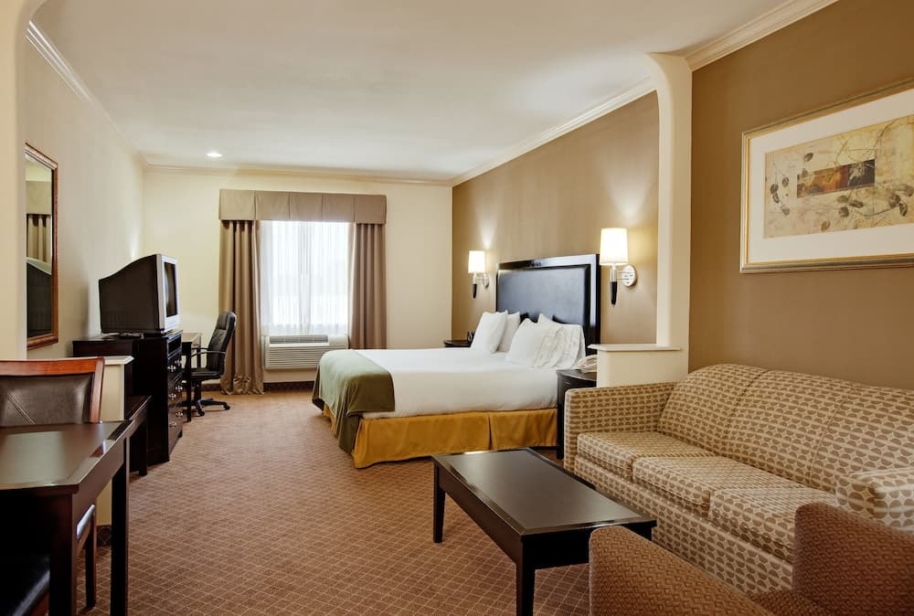 Holiday Inn Express Hotel & Suites La Porte, an IHG Hotel property views in La Porte, TX — gallery photo 3