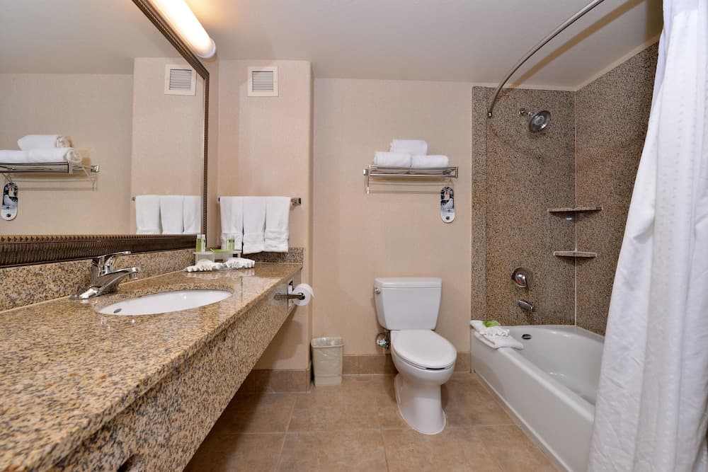 Holiday Inn Express Hotel & Suites Lincoln by IHG gallery photo in Lincoln, CA — image 30