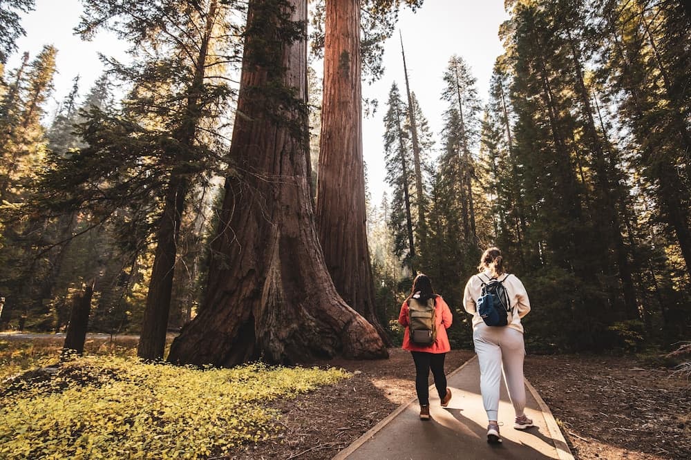 Wuksachi Lodge gallery photo in Sequoia National Park, CA — image 12