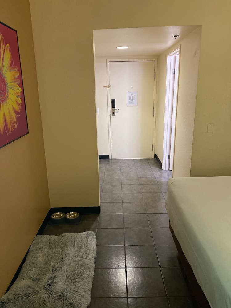 Hotel Jefe at Ojos Locos gallery photo in North Las Vegas, NV — image 31