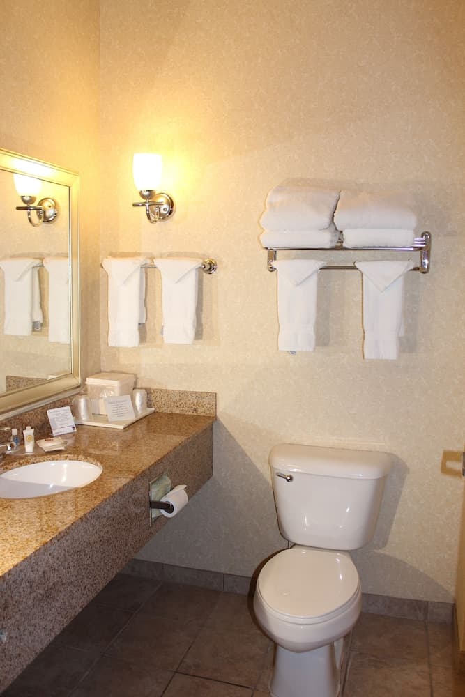 Comfort Suites Canton - Detroit gallery photo in Canton — image 28