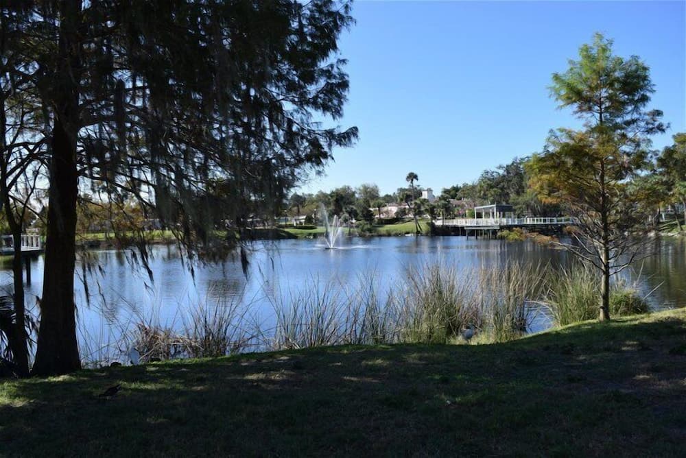 The Hacienda gallery photo in New Port Richey, FL — image 10