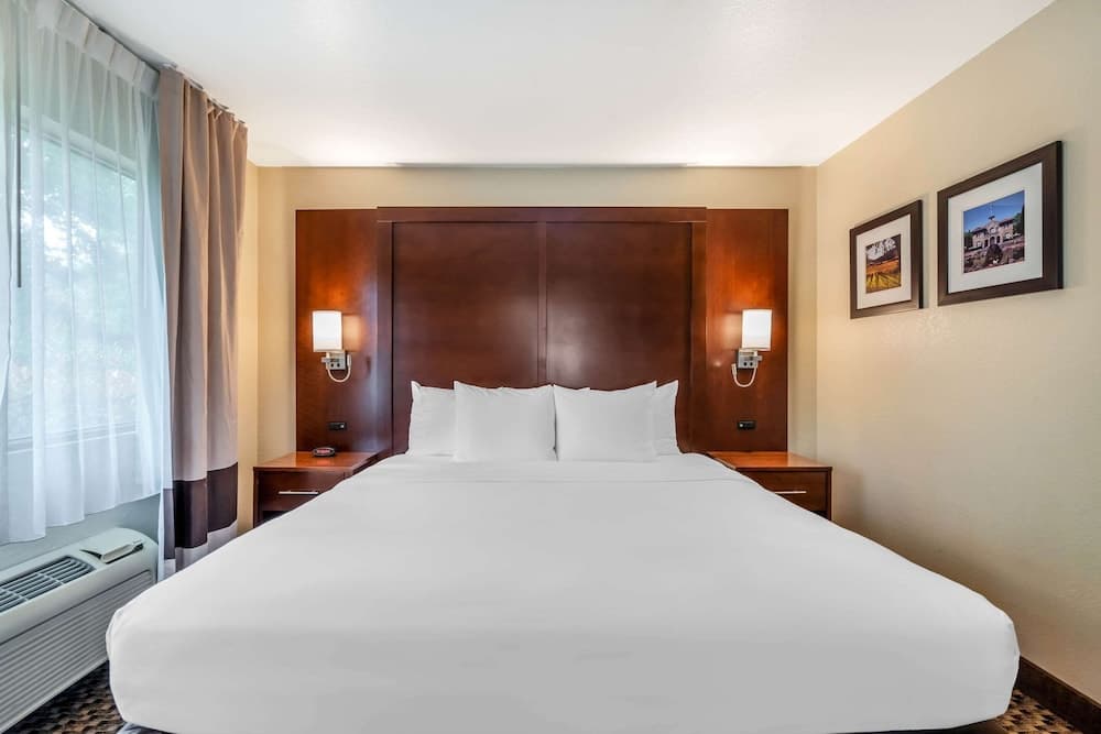 Comfort Inn Fairfield Napa Valley Area gallery photo in Fairfield, CA — image 8