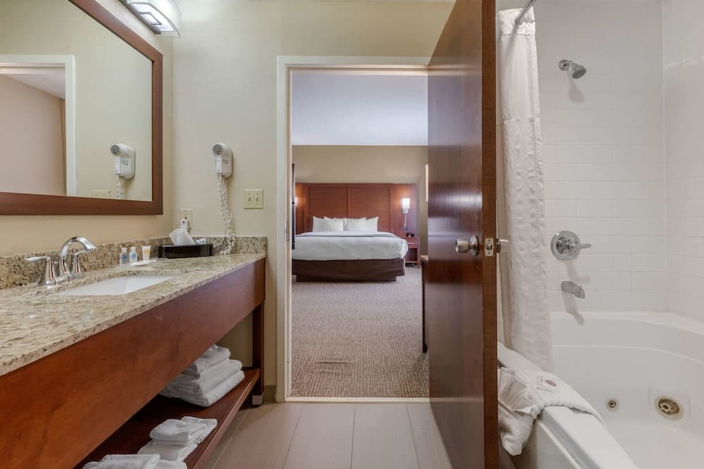 Comfort Suites Johnson City near University gallery photo in Johnson City, TN — image 19