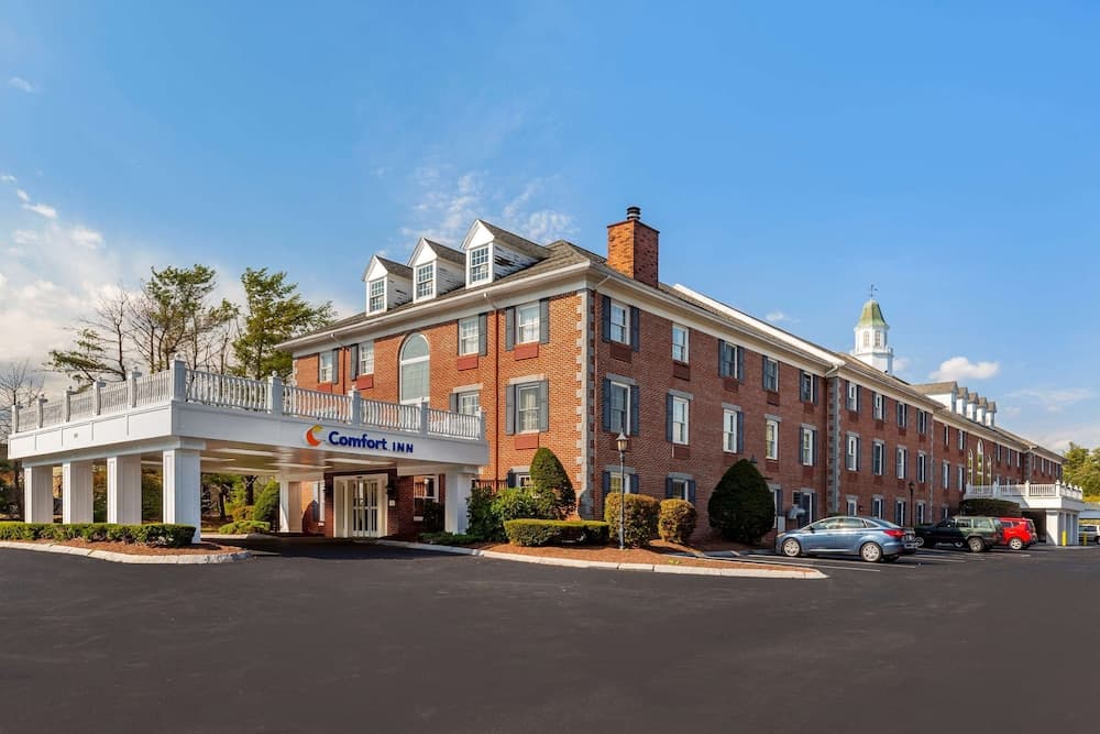Comfort Inn Rockland - Boston gallery photo in Rockland — image 41