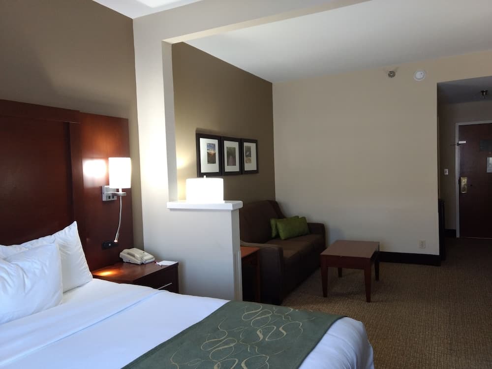 Comfort Suites Johnson City near University gallery photo in Johnson City, TN — image 41