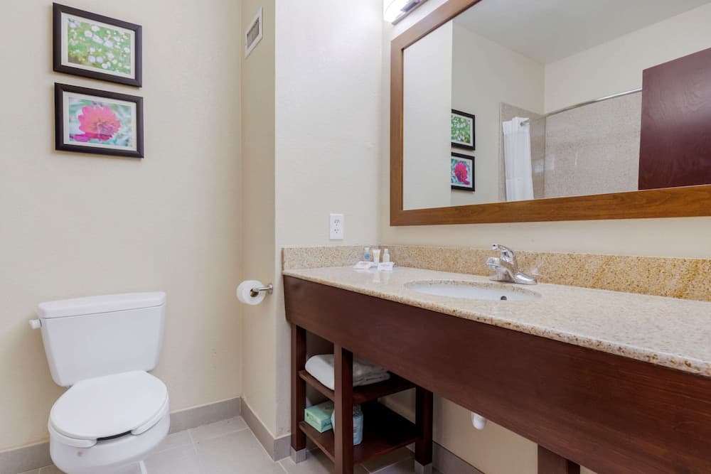 Comfort Suites Copperas Cove gallery photo in Copperas Cove, TX — image 15