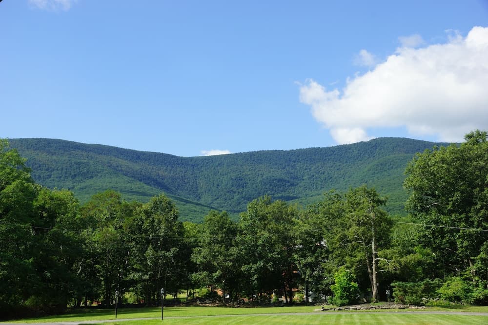 Riedlbauer's Resort gallery photo in Round Top, NY — image 7