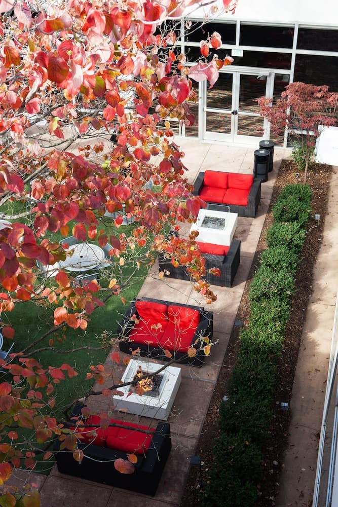 The University of Georgia Center for Continuing Education & Hotel gallery photo in Athens, GA — image 9