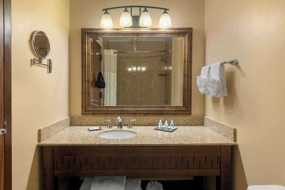 Wyndham Riverfront Hotel gallery photo in Little Rock, AR — image 30