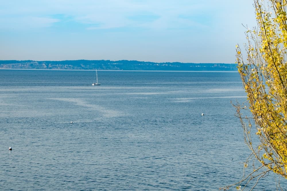 Camano Island Inn property views in Camano Island, WA — gallery photo 3