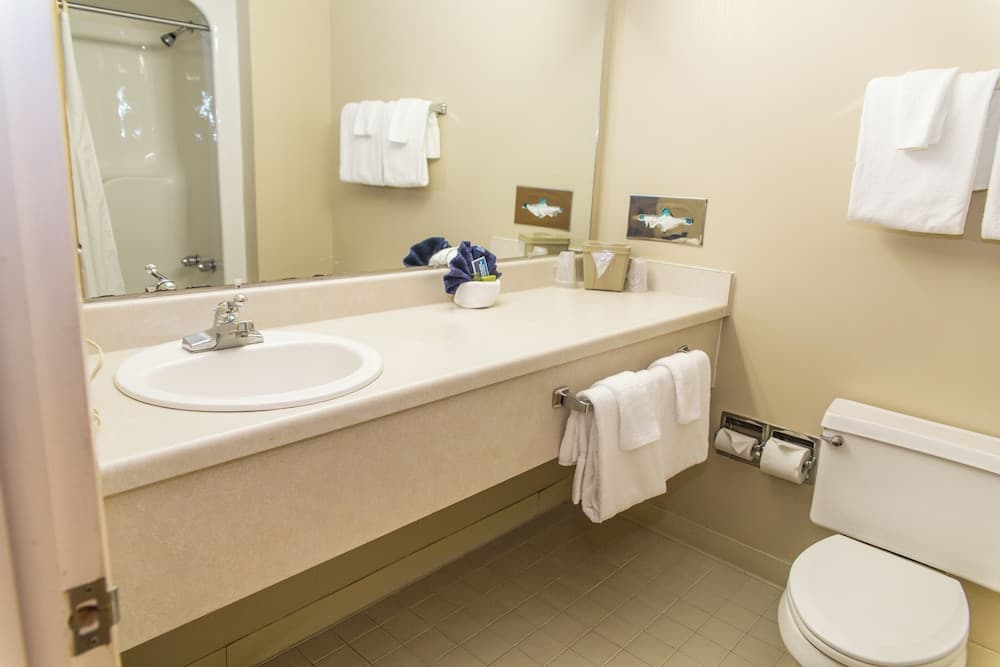 The Inn at Snowshoe property views in Snowshoe — gallery photo 3