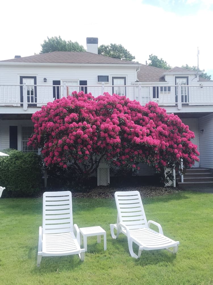 ShoreWay Acres Inn & Cape Cod Lodging property views in Falmouth, MA — gallery photo 3