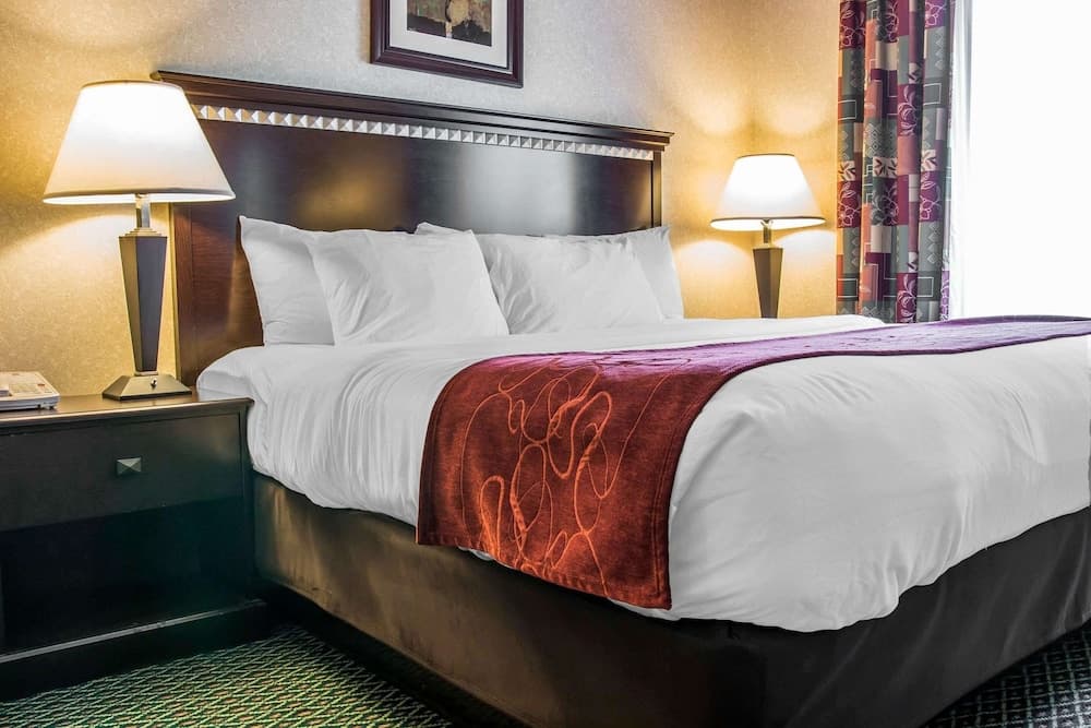 Comfort Suites Canton - Detroit property views in Canton — gallery photo 3