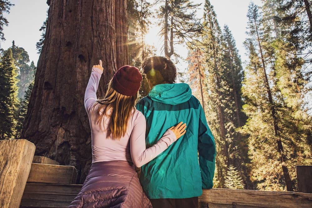 Wuksachi Lodge gallery photo in Sequoia National Park, CA — image 58