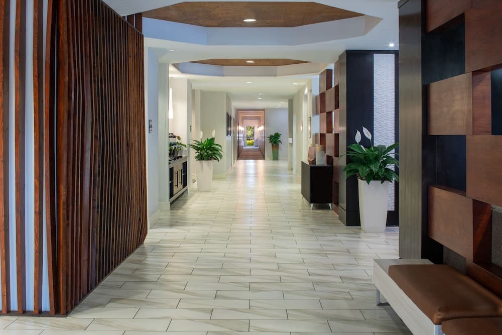 SpringHill Suites by Marriott Convention Center/I-drive property views in Orlando, FL — gallery photo 3