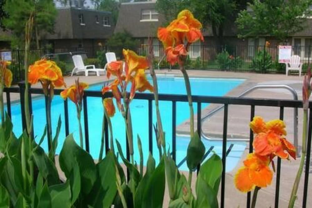 OU-2 Bedroom 1 bath next OU interior in Norman, OK — gallery photo 2
