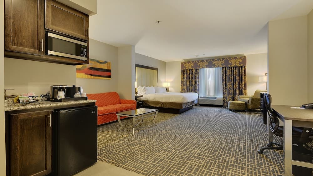 Holiday Inn Express & Suites Gonzales by IHG property views in Gonzales, LA — gallery photo 3